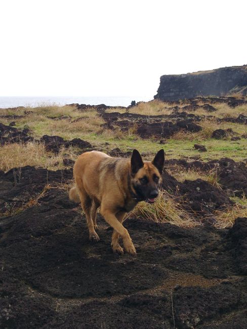 Lorana Isla de Pascua!