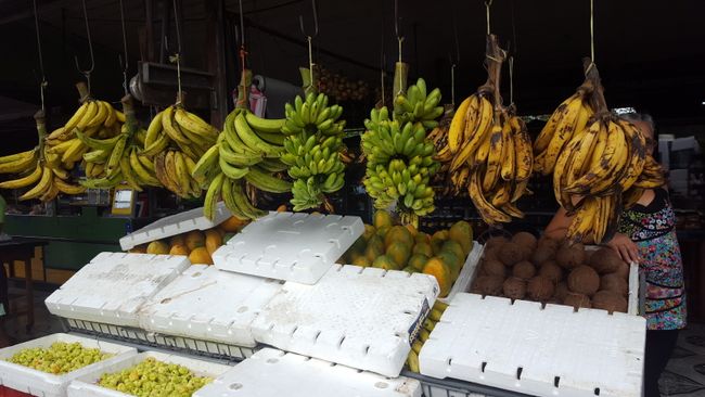 Auswahl von Bananen