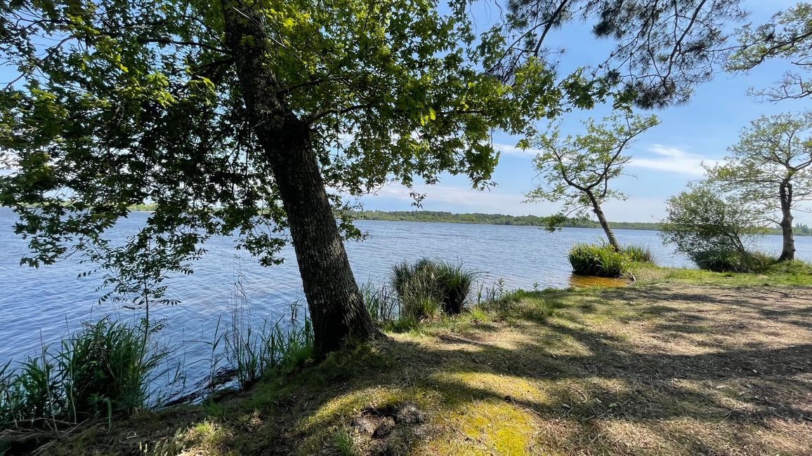 Lake Aureilhan