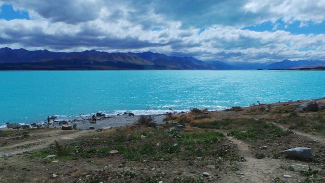 Shimmering turquoise Lake Pukaki 🔝