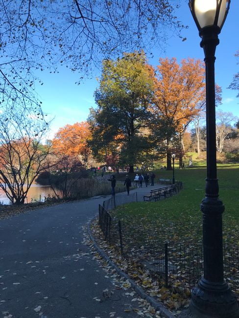 Central Park - Autumn