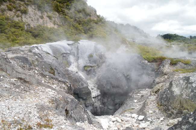 Te Puia - Vapeur de geyser, culture Maori et un kiwi vivant