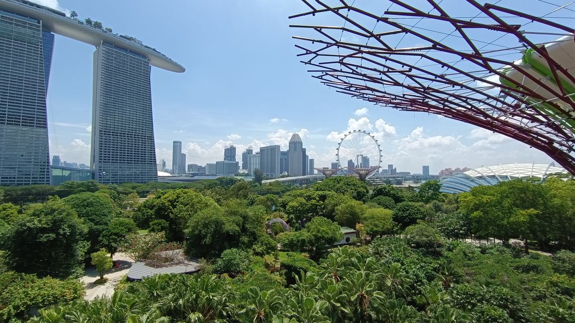 Singapore - A rich sweep