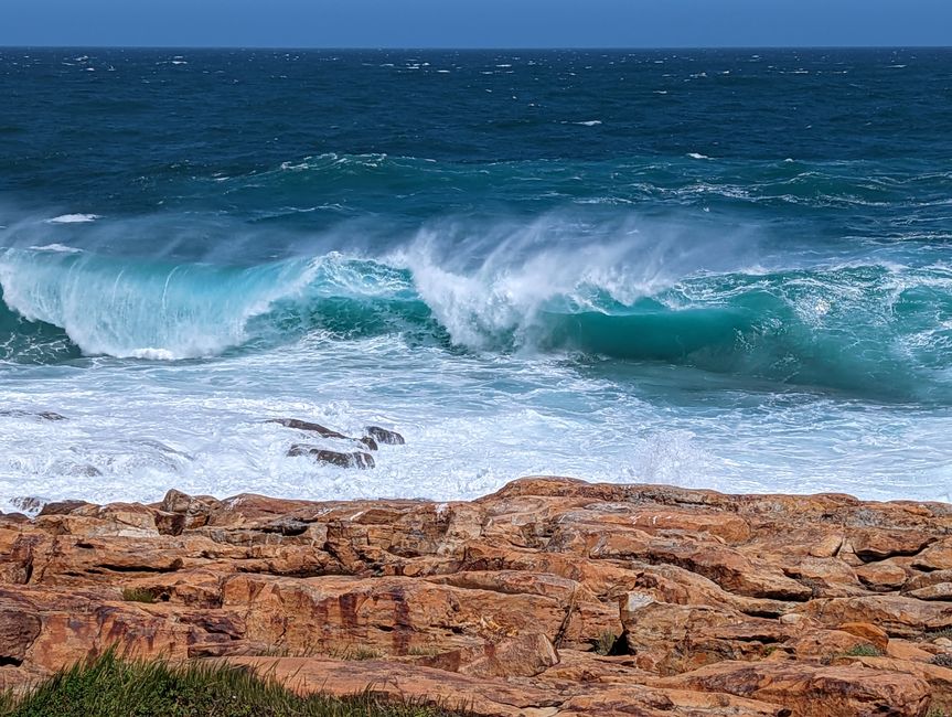 Plettenberg Bay/Robberg Nature Reserve