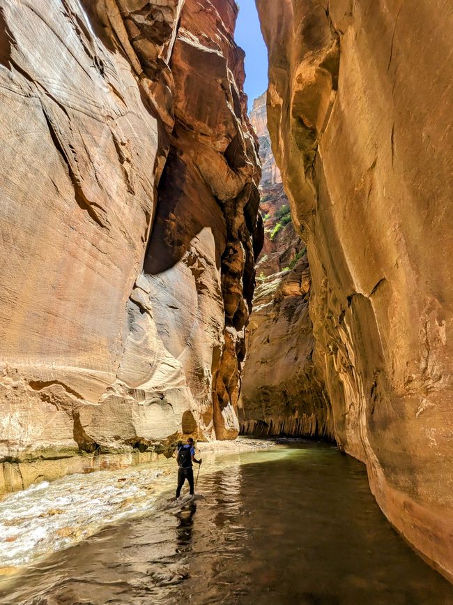 Ne macera! – Zion Ulusal Parkı'ndaki “acele eden” Virgin Nehri boyunca ve ortasında