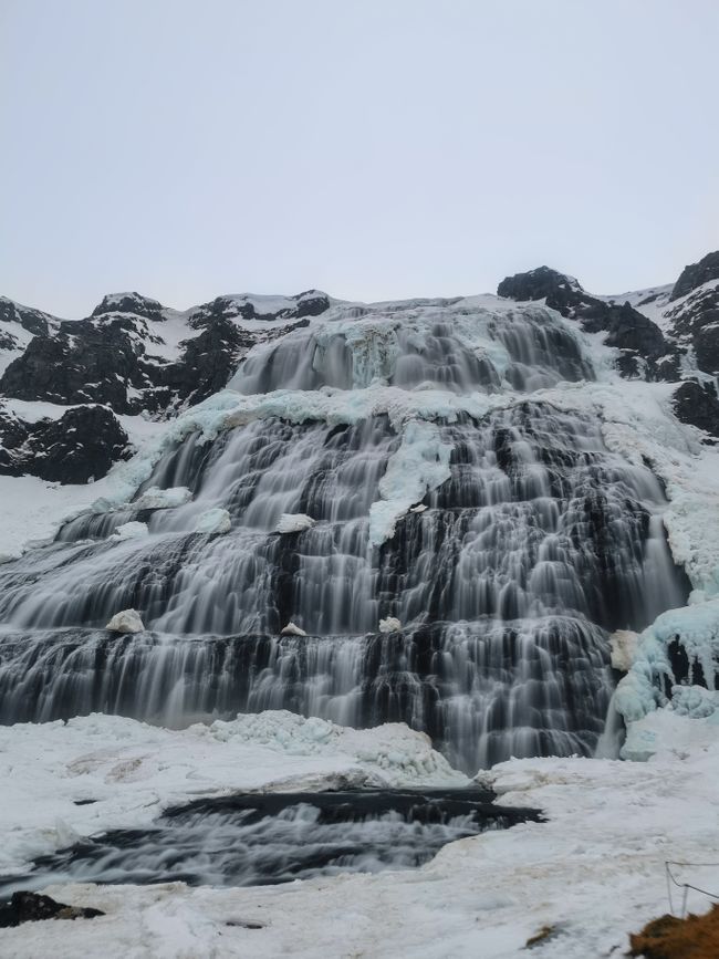 Der Wasserfall Fjalfoss/Dynjandi 27/02