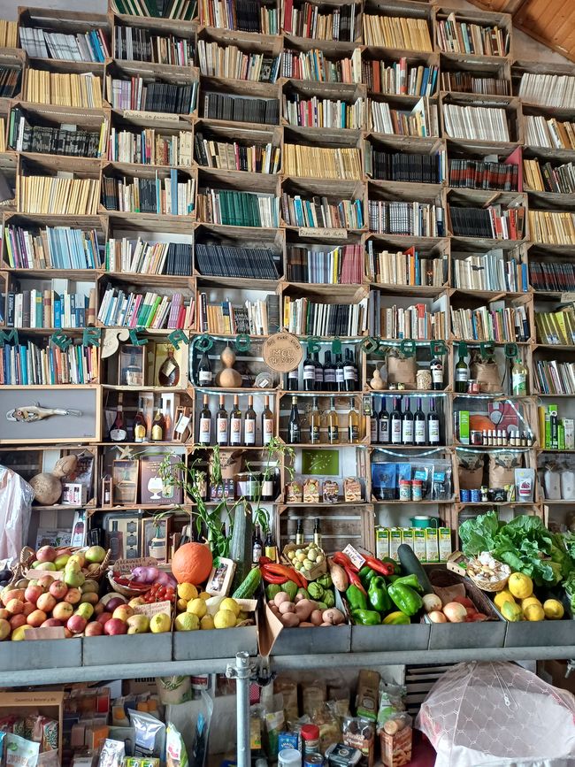 Library with fruit and vegetable sales