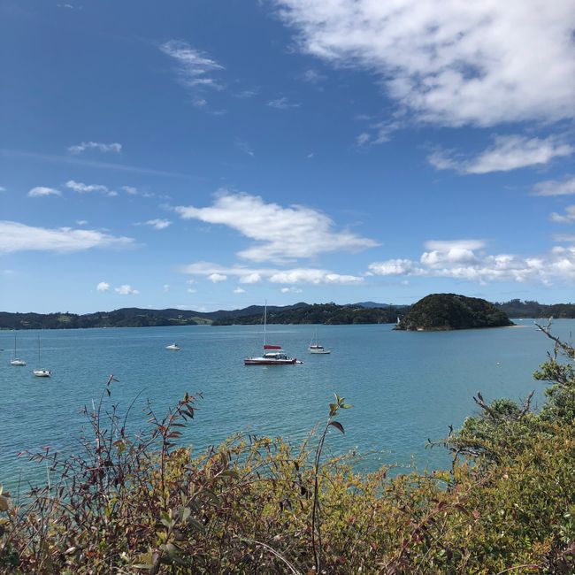 Tag 22: Russell, Paihia & Hole in the Rock