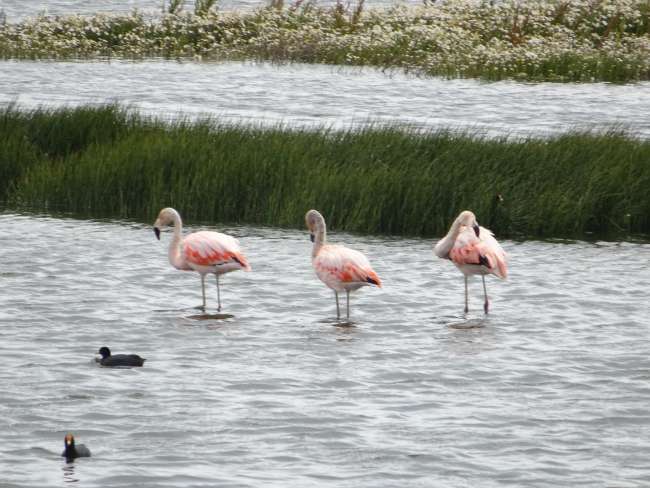 Von Flamingos und beeindruckenden Bergmassiven