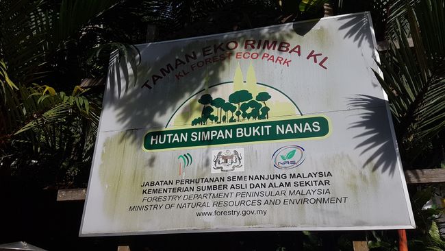08.12.2018: Besuch des Bukit Nanas Nationalparks in der Innenstadt von Kuala Lumpur. 