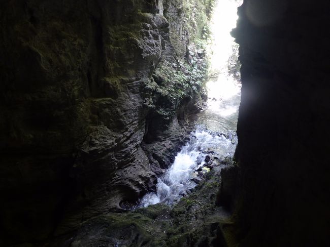 3.1.20 Ruakuri Caves and heading north