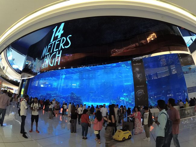 One of the largest aquariums in the world - in the Dubai Mall