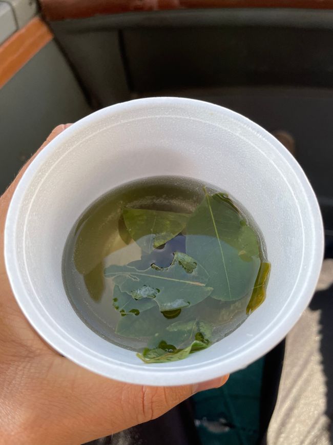 Tea made from coca leaves