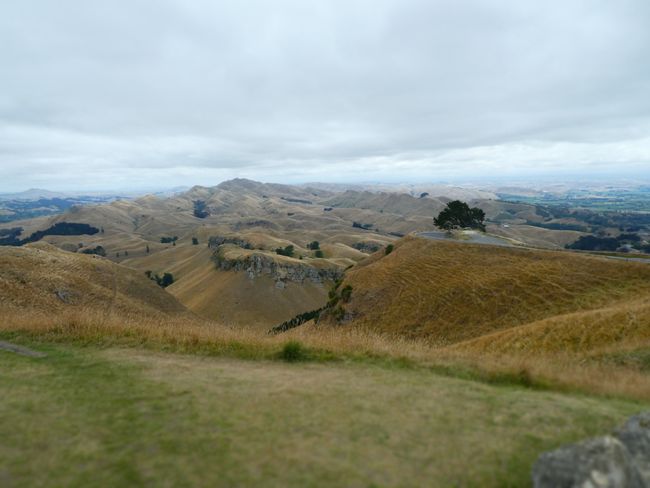 Te Mata