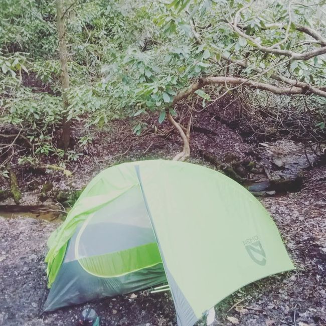 La vida en el sendero