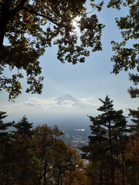 na hallo - Fuji #2