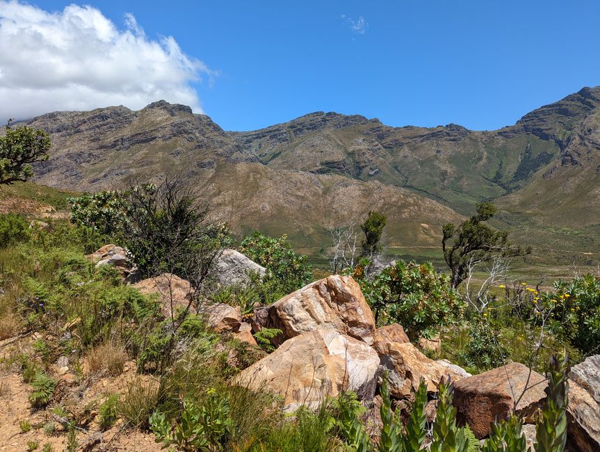 Biken im Jonkershoek Nature Reserve