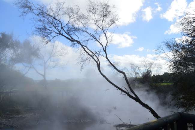 热闹的空气
