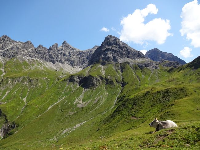 Alpenentspannung mit Blick ins Tal
