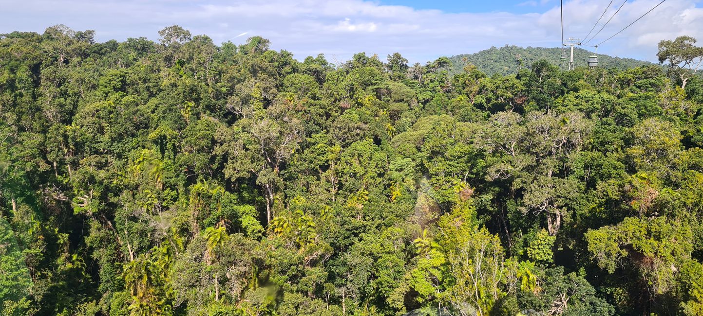 Day 14/15 - Kuranda