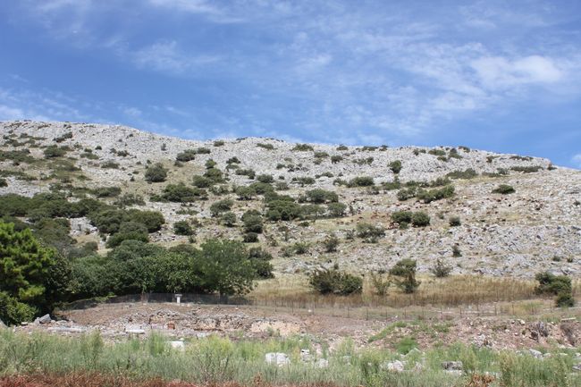 14.08.2018 - Kerkini, Dripstone Cave, Filipi, Kavala, Tychero (Dadia National Park)