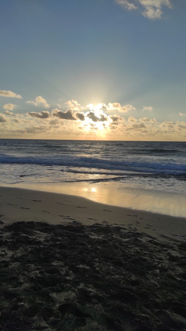 LA PARED the beach 