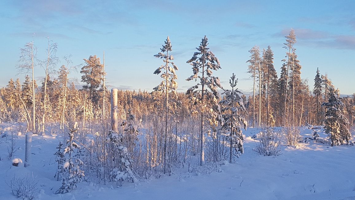Swedish Lapland November 30 - December 5, 2020