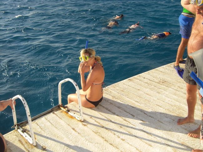 Ägypten ohne Schnorchen.. geht nicht. Die Unterwasserwelt muss man gesehen haben. Das Wasser ist angenhem warm und super sauber und klar. Leider sind viele Korallenriffe nicht mehr ganz lebendig. Der Tourismus macht vieles kaputt, daher geht immer Verantwortungsvoll auch im Urlaub mit der Umwelt um.