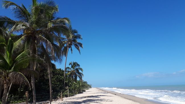 Tiempo de playa, Ecuador y Colombia
