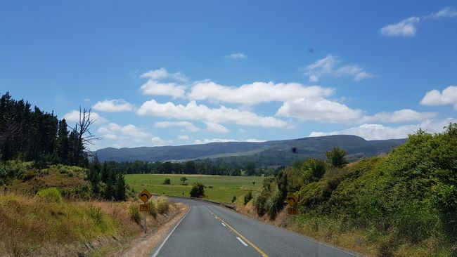 Day 3: Ruakaka - Waipoua Forest