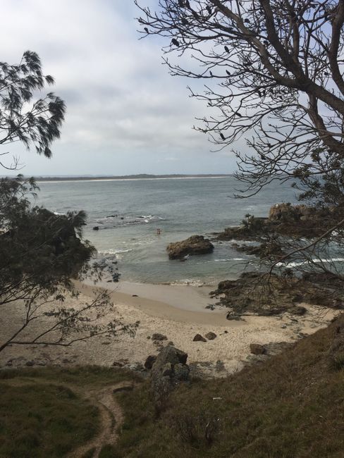 Chapter 4: Sydney, New Year's Eve, and Family Time