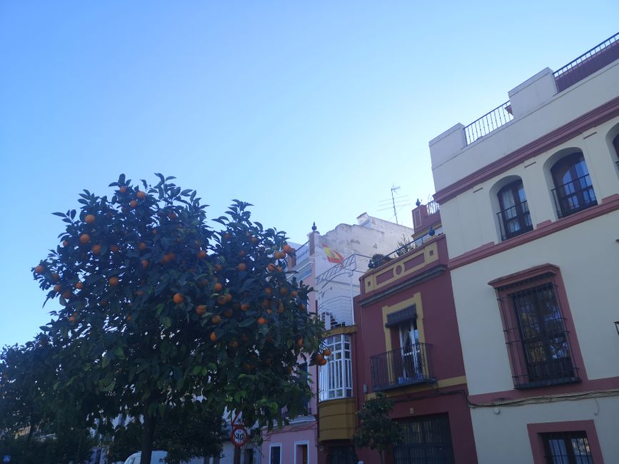 Ein Samstag in Sevilla