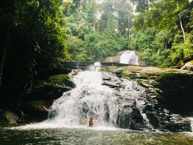 Holy Shit - 3 Wochen im malayischen Dschungel