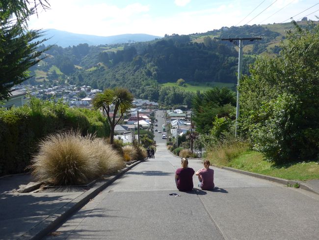 Dunedin (New Zealand Part 35)
