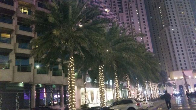 Even the palm trees were adorned 😊