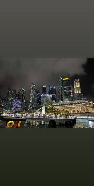 Singapore by night - > next stop 🇳🇿
