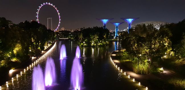 Singapour & Cairns