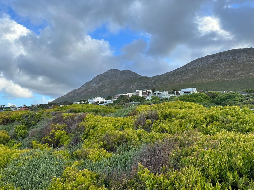 Stellenbosch 