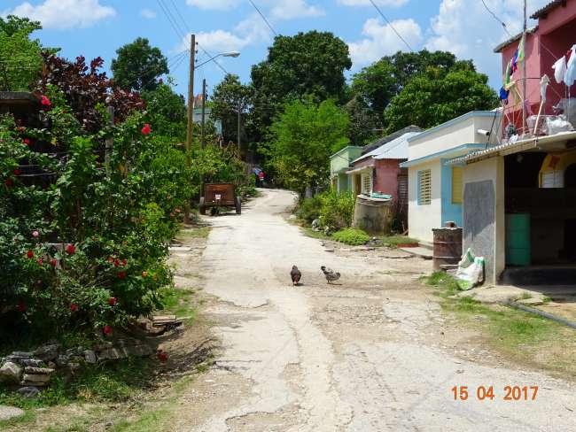 Hühnerei und Schenkel garantiert Bio in einem Dorf nahe Bajamo