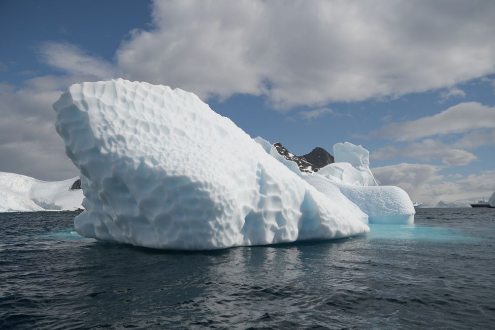 Antarctica - Antarctic Peninsula - Murray Bay