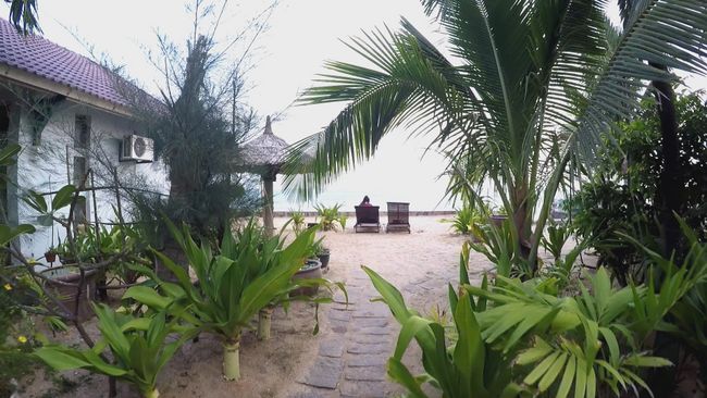View through the plants on the beach, where Franzi lies on a sun lounger