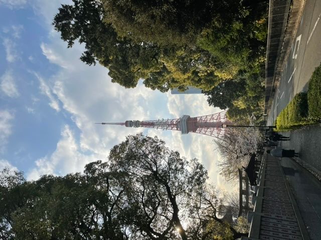 Pictures from the Tokyo Tower