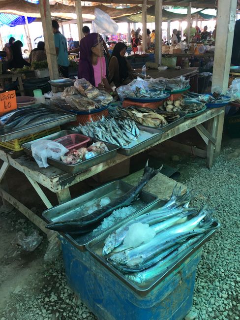 Mit den Einheimischen zum Markt - zwischen Fisch, Fleisch und Bananen