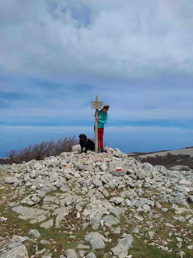 On the Second Highest Mountain in Sicily