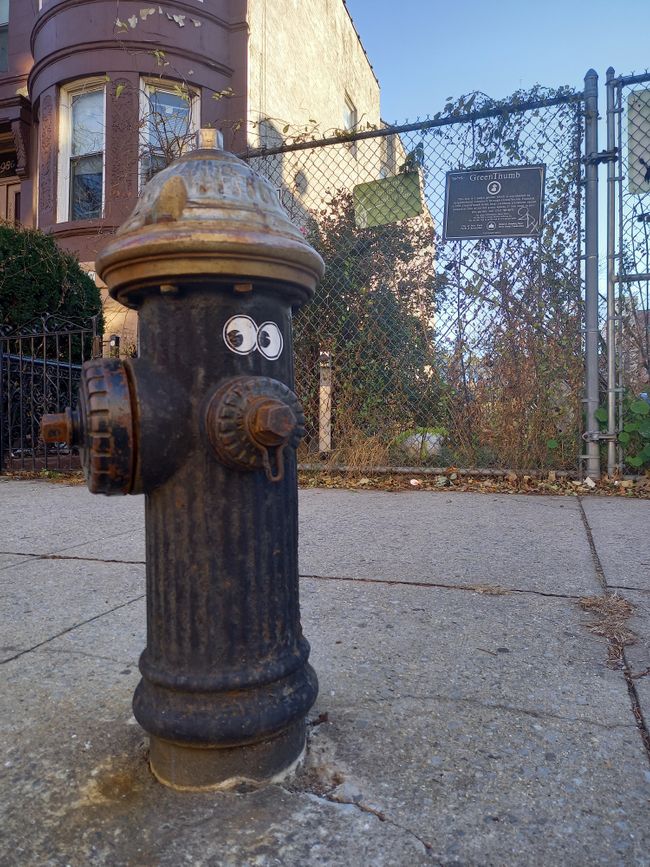 Bonusbild: ein Feuerhydrant mit Augen 