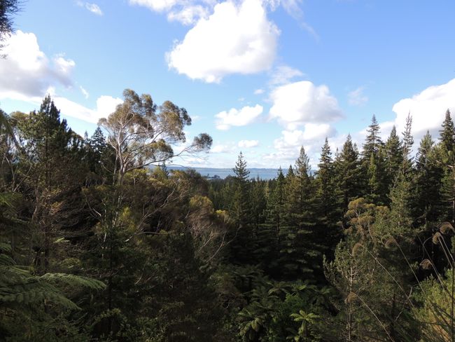 Rotorua (2 days)