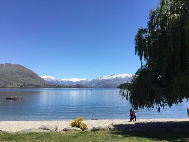 New Zealand: on the road with the kiwis...