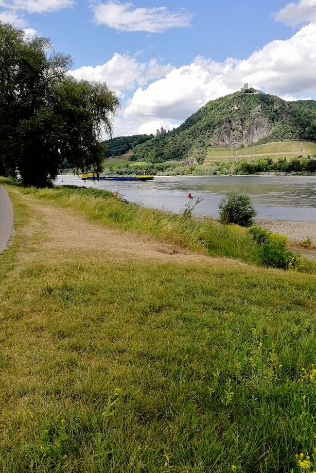 Einer der schönsten Abschnitte am Rhein 🏰