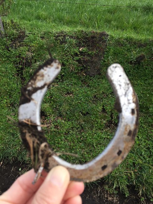 Found a horseshoe 🤗