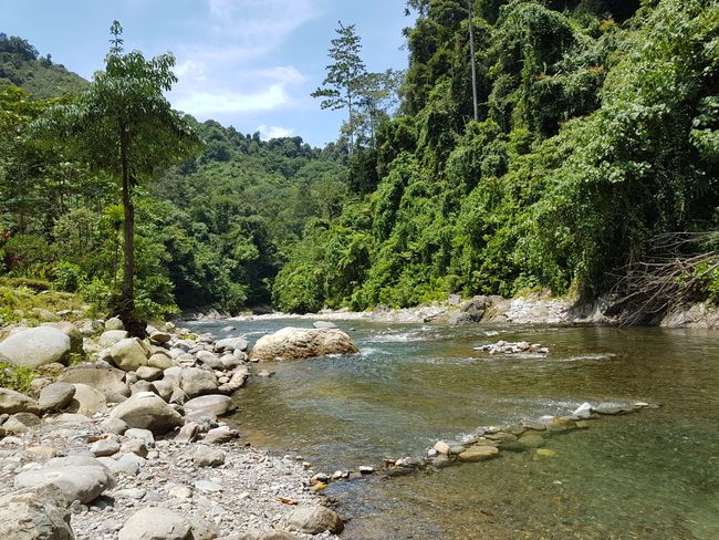 Sumatra - Dschungel und Lake Toba